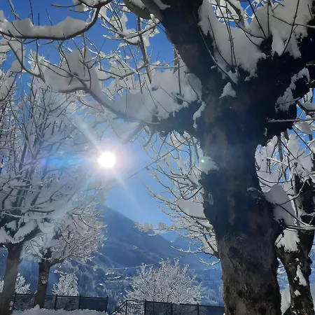 ゲストハウス Gamskar 4*